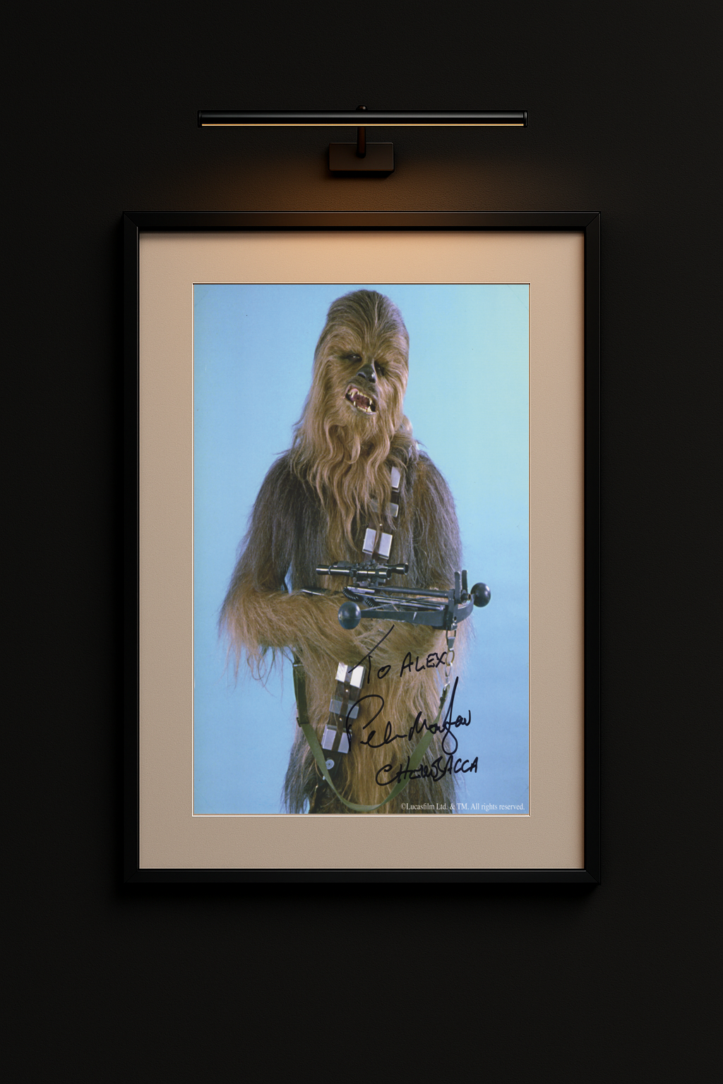Peter Mayhew